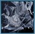 Bild 8 von 17