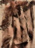 Bild 8 von 17