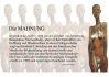 Bild 7 von 9