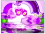 Bild 13 von 16