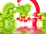 Bild 10 von 16