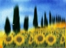 Bild 10 von 13